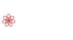 casinochan logo